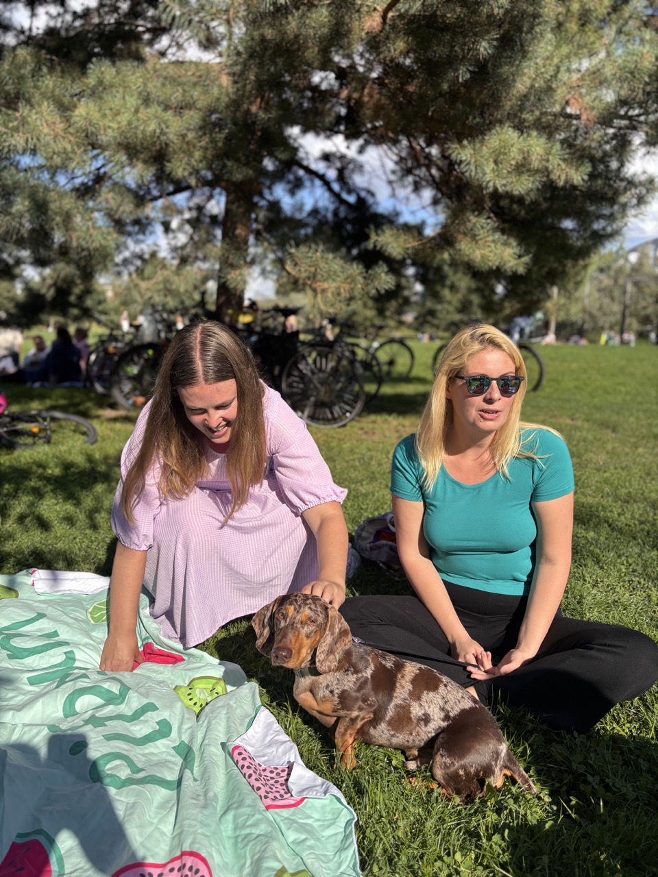 Members sitting in the grass with a dachshund at Gleisdreieck
